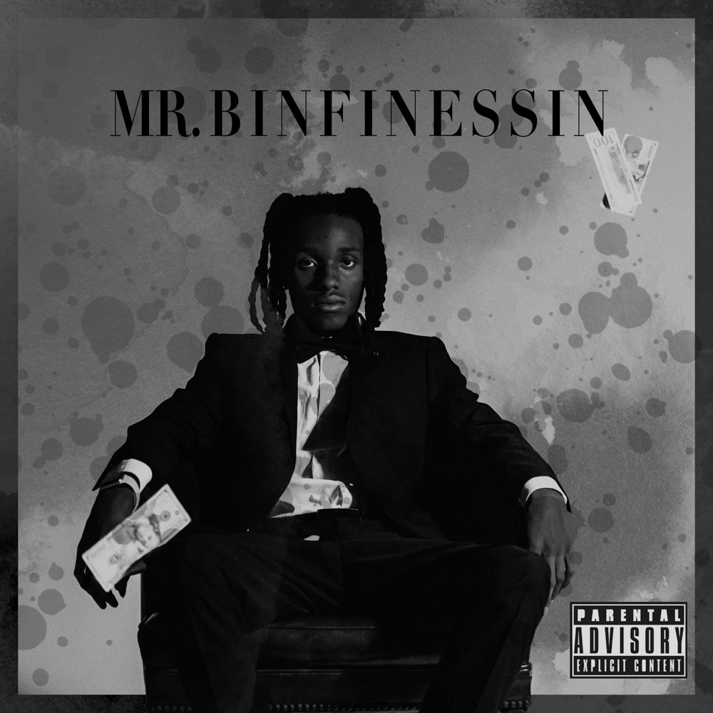 Mr.BinFinessin album cover